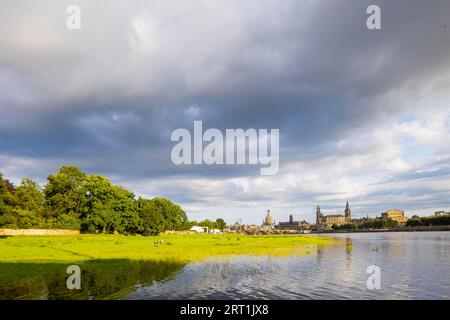Silhouette de la vieille ville de Dresde au soleil d'été, l'Elbe est légèrement inondée après de fortes pluies Banque D'Images
