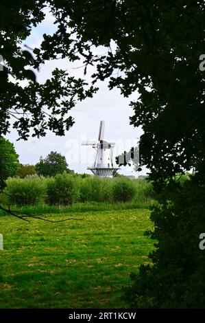 Le long du linge dans la ville de Gelderland de Deil est le moulin à vent 'de Vlinder' (le papillon) un moulin à farine en briques en plâtre blanc Banque D'Images