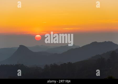 Vue panoramique sur la plantation de thé près de Munnar à Kerala, Inde du Sud pendant le coucher du soleil Banque D'Images