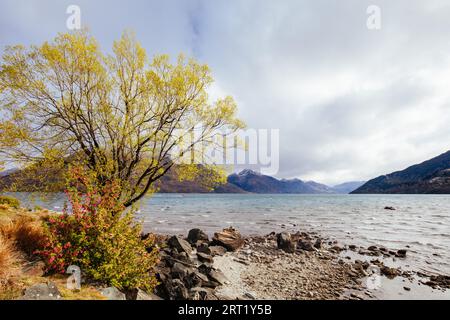 Vue sur le lac Wakatipu depuis les jardins de Queenstown par une journée ensoleillée de printemps en Nouvelle-Zélande Banque D'Images