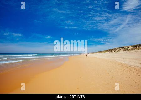 Les emblématiques plages de surf Cape Woolamai et Cowrie Patch Beach sur Phillip Island, Victoria, Australie Banque D'Images