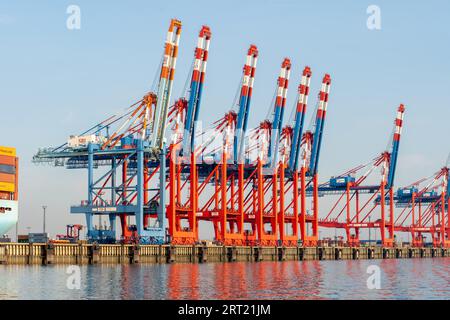 Bremerhaven, Geramny, 15 septembre 2020 : grues portiques au terminal à conteneurs EUROGATE Banque D'Images