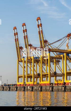 Bremerhaven, Geramny, 15 septembre 2020 : grues portiques au terminal à conteneurs EUROGATE Banque D'Images