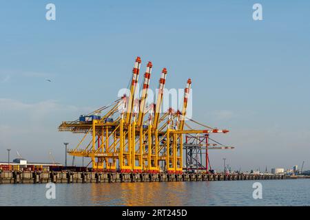 Bremerhaven, Geramny, 15 septembre 2020 : grues portiques au terminal à conteneurs EUROGATE Banque D'Images