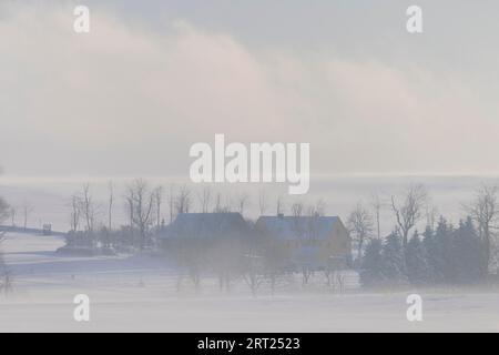 Champs enneigés avec brouillard près de Liebenau dans les Monts Ore Banque D'Images