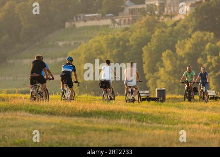 Cyclistes sur la piste cyclable de l'Elbe dans la lumière du soir en face du château d'Albrechtsberg Banque D'Images