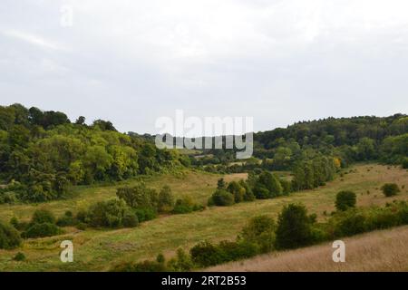 Une vue de Magpie Bottom, Kent, près de Shoreham et Sevenoaks, en été depuis Austin Spring. Vallée sèche typique à la craie, rewilding ancien parcours de golf, biodiver Banque D'Images