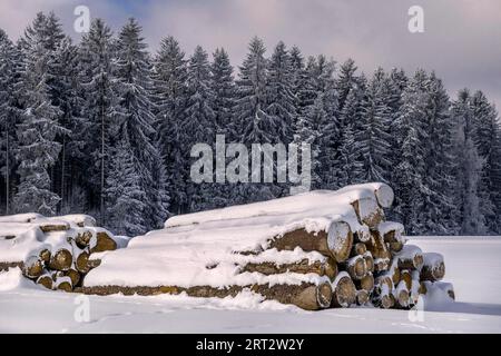 Les piles de bois devant la forêt hivernale Banque D'Images
