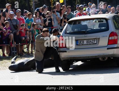 Berlin, Allemagne. 10 septembre 2023. Les gardes du corps de la LKA montrent leurs compétences lors de la journée portes ouvertes de la police de Berlin. Crédit : Paul Zinken/dpa/Alamy Live News Banque D'Images