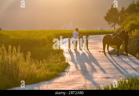 (230910) -- GUIDING, 10 septembre 2023 (Xinhua) -- lu Chengwen (2e L) accompagne ses élèves pour rentrer chez eux dans le canton de Yanshan, dans le comté de Guizhou, dans le sud-ouest de la Chine, dans la province du Guizhou, le 6 septembre 2023. Yanjiao point d'enseignement est une «micro école primaire» située dans une zone plate parmi les montagnes dans le sud-ouest de la Chine Guizhou. Lu Chengwen est le seul enseignant ici avec 28 élèves préscolaires et 6 élèves de première année. En 2012, lu, qui venait de sortir de l'université, choisit d'enseigner au point d'enseignement éloigné de Yanjiao. Les élèves d'âge préscolaire, élevés dans le village montagneux du groupe ethnique Miao, pourraient le faire Banque D'Images