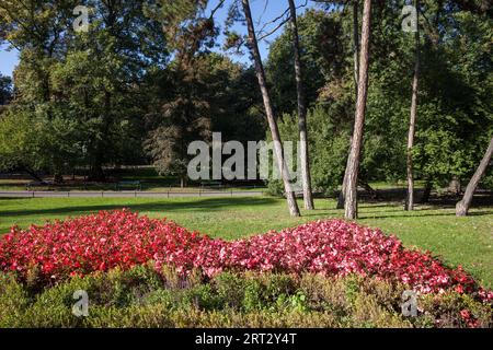 Jardin avec fleurs dans le parc Planty de Cracovie, Pologne Banque D'Images