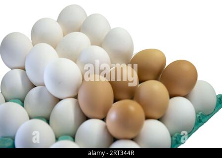 Oeufs de poule blancs et bruns sur fond isolé blanc Banque D'Images