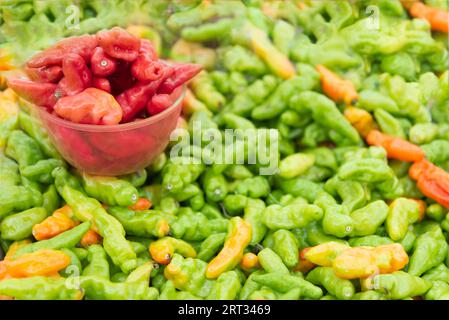 Poivre murupi rouge et vert frais mûr étalé partout Banque D'Images