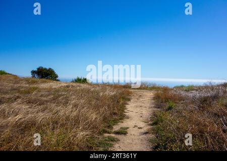 Vues sur les eucalyptus et les collines dorées lors de la randonnée dans Tuna Canyon à Malibu, Californie. Banque D'Images