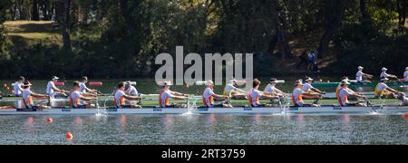 BELGRADE - Guus Mollee, Olav Molenaar, Jan van der Bij, Guillaume Krommenhoek, Sander de Graaf, Jacob Van de Kerkhof, Gert-Jan Van Doorn, Mick Makker et le timonier Dieuwke Fetter en action lors des huit derniers jours des Championnats du monde d'aviron dans la capitale serbe Belgrade. ANP IRIS VAN DEN BROEK netherlands Out - belgique Out Banque D'Images