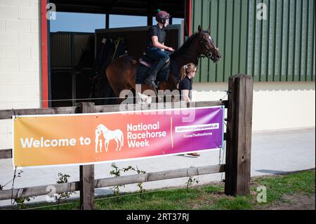 Whitchurch, Shropshire, Royaume-Uni. 10 septembre 2023. Scènes de la journée portes ouvertes de Sam Allwood Racing, dans le cadre des célébrations de la semaine nationale des chevaux de course. Crédit : JTW Equine Images/Alamy Live News Banque D'Images