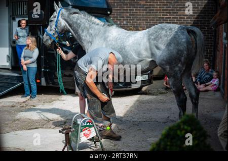 Whitchurch, Shropshire, Royaume-Uni. 10 septembre 2023. Scènes de la journée portes ouvertes de Sam Allwood Racing, dans le cadre des célébrations de la semaine nationale des chevaux de course. Crédit : JTW Equine Images/Alamy Live News Banque D'Images