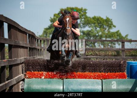 Whitchurch, Shropshire, Royaume-Uni. 10 septembre 2023. Scènes de la journée portes ouvertes de Sam Allwood Racing, dans le cadre des célébrations de la semaine nationale des chevaux de course. Crédit : JTW Equine Images/Alamy Live News Banque D'Images