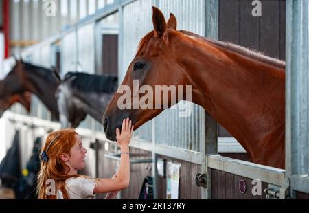 Whitchurch, Shropshire, Royaume-Uni. 10 septembre 2023. Scènes de la journée portes ouvertes de Sam Allwood Racing, dans le cadre des célébrations de la semaine nationale des chevaux de course. Crédit : JTW Equine Images/Alamy Live News Banque D'Images