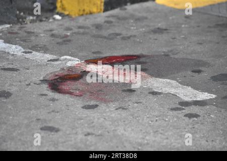 Brooklyn, États-Unis. 10 septembre 2023. (NOTE DE L'ÉDITEUR : l'image contient du contenu graphique) flaques de sang découvertes sur la scène du crime. Trois personnes ont tiré sur Fulton Street et Nostrand Avenue à Brooklyn. Deux femelles et un mâle ont été abattus dimanche à Brooklyn. Toutes les victimes abattues sont dans un état stable et un ou plusieurs suspects ne sont pas encore en détention. Plus de 10 douilles ont été récupérées sur les lieux et de grandes flaques de sang ont été découvertes sur le trottoir et sur les marches d'une entrée de métro. Crédit : SOPA Images Limited/Alamy Live News Banque D'Images