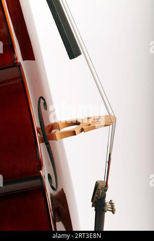 Gros plan du pont de violoncelle et des cordes et trou en F en forme de S. Banque D'Images