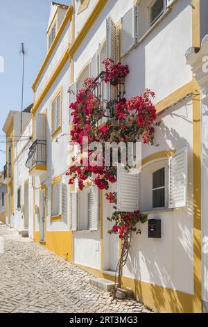 Belle rue avec des maisons portugaises traditionnelles avec des fleurs au Portugal Banque D'Images