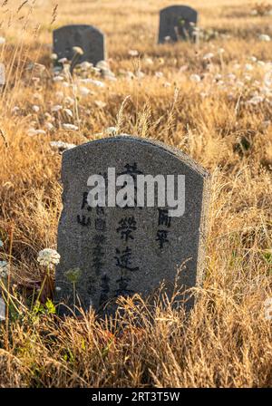 Pierres tombales dans le cimetière chinois de Harling point à Oak Bay, Colombie-Britannique, Canada. Banque D'Images