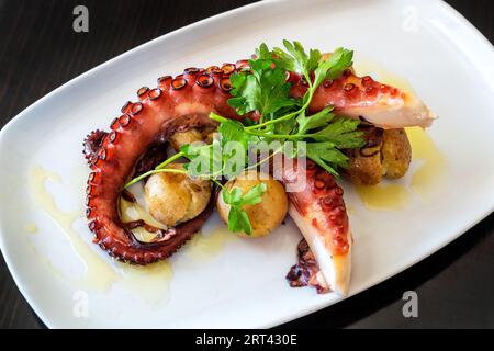 Tentacules de poulpe bouillis selon une recette méditerranéenne avec pommes de terre et persil. Banque D'Images