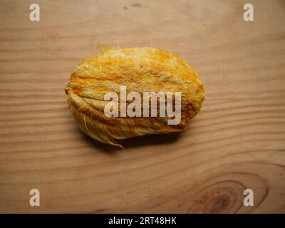 Graine de mangue, isolée sur fond de bois, graine de fruit de mangue Banque D'Images