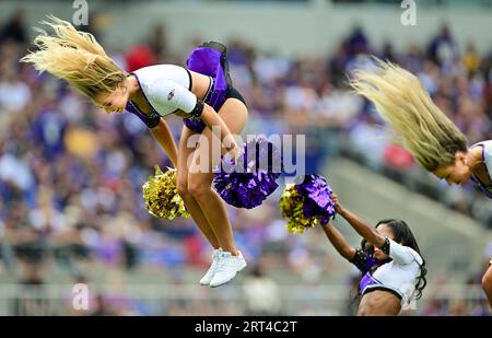 Baltimore, États-Unis. 10 septembre 2023. Les cheerleaders des Ravens de Baltimore jouent contre les Texans de Houston lors de la première mi-temps au M&T Bank Stadium de Baltimore, Maryland, le dimanche 10 septembre 2023. Photo de David Tulis/UPI crédit : UPI/Alamy Live News Banque D'Images