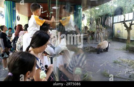 SHANGHAI, CHINE - 10 SEPTEMBRE 2023 - les visiteurs visitent la base de panda géant au parc national 5a de l'attraction touristique Safari Park à Shanghai, Chine, septembre Banque D'Images
