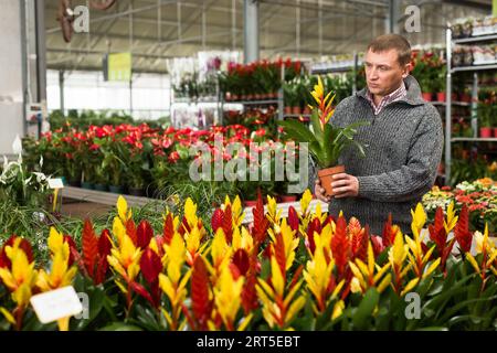 Homme choisissant des fleurs en pot dans le magasin de jardin Banque D'Images