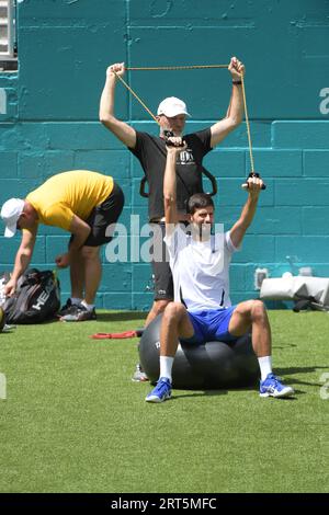 MIAMI GARDENS, FLORIDE - 21 MARS : Novak Djokovic s'entraîne pendant la quatrième journée du Miami Open de tennis le 21 mars 2019 à Miami Gardens, Floride. Personnes : Novak Djokovic Banque D'Images