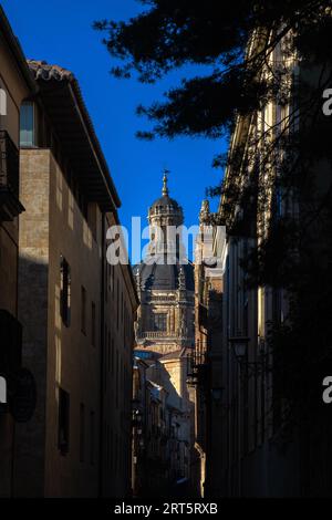 Vue sur le dôme de l'ancienne cathédrale de Salamanque depuis une rue étroite obscurcie par l'ombre de la lumière du soir. Banque D'Images