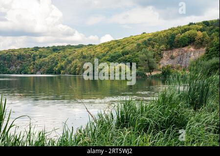 Rive pittoresque de la rivière couverte d'arbres verts et jaunes luxuriants à la fin de l'été ou à l'automne. Beau paysage pour papier peint. Ukraine, Vinnytsia, Pivdennyi Banque D'Images