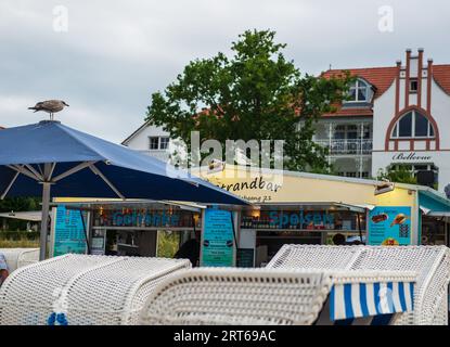 Binz auf Ruegen, Allemagne - 12 août 2023 : deux mouettes se dressent au sommet d'un bar de plage tard dans l'après-midi. Banque D'Images