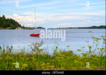 Fleurs sauvages et herbes hautes au premier plan avec un voilier rouge amarré dans la baie et des îles en arrière-plan sur l'île de Skatoy, Telemark, Norvège. Banque D'Images