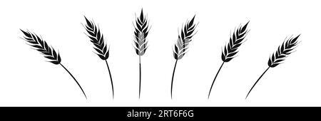 Wheat Set épis de logo de blé icône sur fond blanc. Illustration vectorielle Illustration de Vecteur