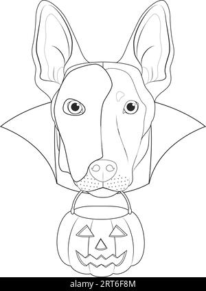 Carte de voeux Halloween pour colorier. Chien belge Sheperd Malinois avec un demi-masque blanc sur le visage, une cape noire et une citrouille dans la bouche Illustration de Vecteur