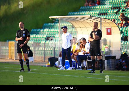 Gladsaxe, Danemark. 08 septembre 2023. L’entraîneur-chef Landry Chauvin, de France, a été vu lors d’un match amical U20 entre le Danemark U20 et la France U20 au Gladsaxe Stadion à Gladsaxe. (Crédit photo : Gonzales photo - Chrisitan Midtgaard). Banque D'Images