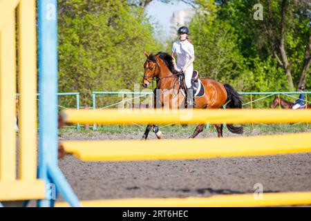 Jeune femme de cheval approchant son obstacle dans la compétition de saut d'obstacles Banque D'Images