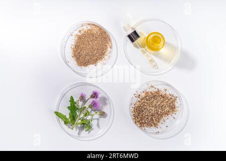 Fournitures de chardon de lait, poudre et huile. Silybum marianum, superaliment biologique naturel de fleurs sauvages - graines entières et de grains, pilules, huile avec frais Banque D'Images