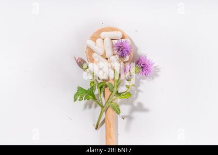 Fournitures de chardon de lait, poudre et huile. Silybum marianum, superaliment biologique naturel de fleurs sauvages - graines entières et de grains, pilules, huile avec frais Banque D'Images