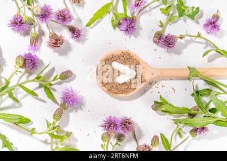 Fournitures de chardon de lait, poudre et huile. Silybum marianum, superaliment biologique naturel de fleurs sauvages - graines entières et de grains, pilules, huile avec frais Banque D'Images