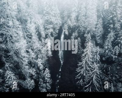 Belle et puissante cascade couverte de neige avec des pins gelés tout autour d'en haut. Cascade de montagne avec débit fort par drone. Terrain brumeux sc Banque D'Images