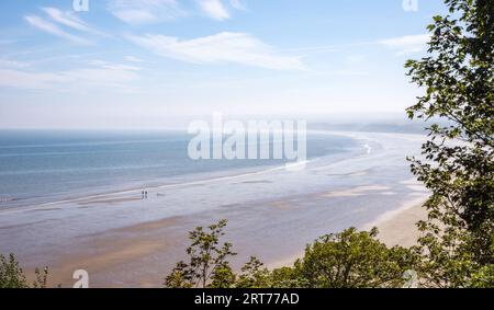 Un panorama de Filey Bay. La plage s'incurve autour d'une baie jusqu'à un promontoire au loin qui est partiellement obscurci dans la brume. Il y a des arbres dans le foregrou Banque D'Images