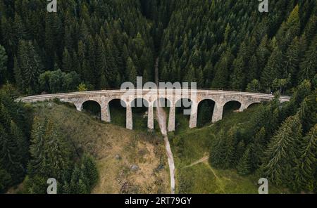 Pont ferroviaire - Viaduc de Telgart en Europe Slovaquie d'en haut (vue de dessus) avec belle forêt de pins et chemin sous le viaduc. Photo aérienne de tr Banque D'Images