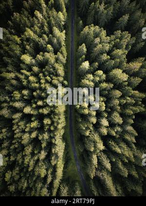 Photo aérienne grand angle par drone (vue de dessus) d'une forêt de pins verts incroyable avec route courbe (chemin). Image colorée et saturée de chemin dans la nature à partir d'un Banque D'Images