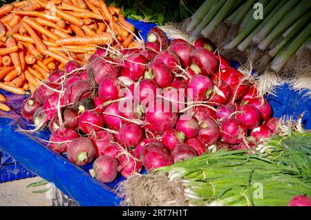 Radis frais, carottes et oignons de printemps dans un marché turc. Banque D'Images