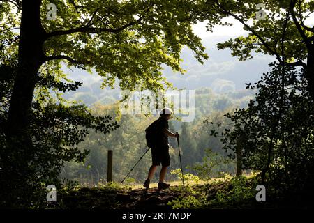 Une marcheuse passe devant un point de vue depuis une ouverture d'arbres à Buckholt Woods, le 6 septembre 2023, à Londres, en Angleterre. Banque D'Images